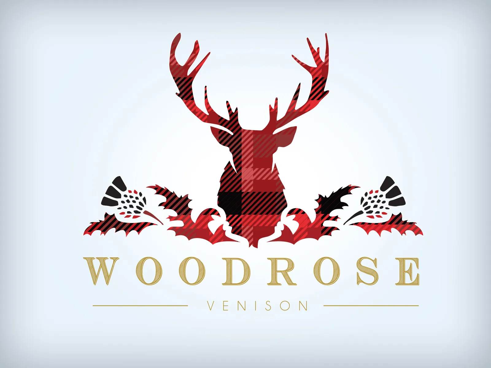 Logo Design Ayrshire