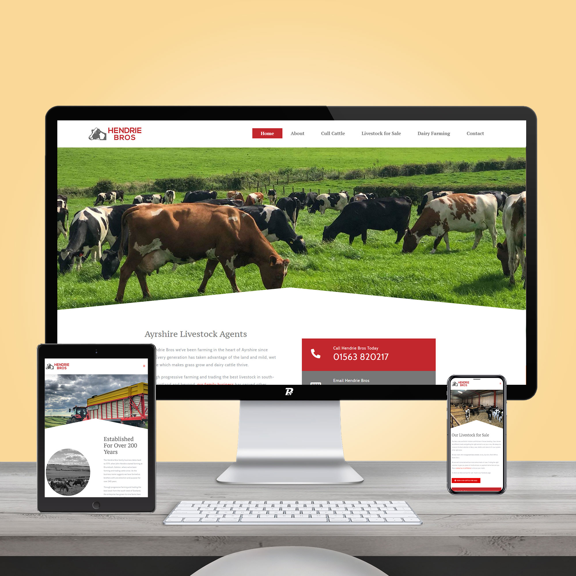 Website Design Hendrie Bros