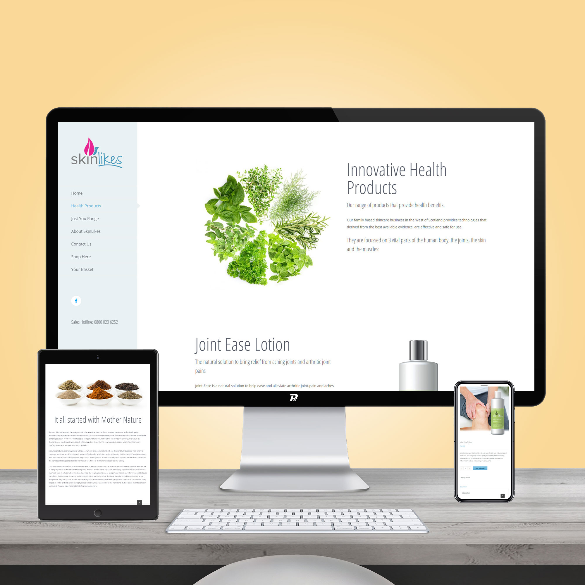 Website Design SkinLikes